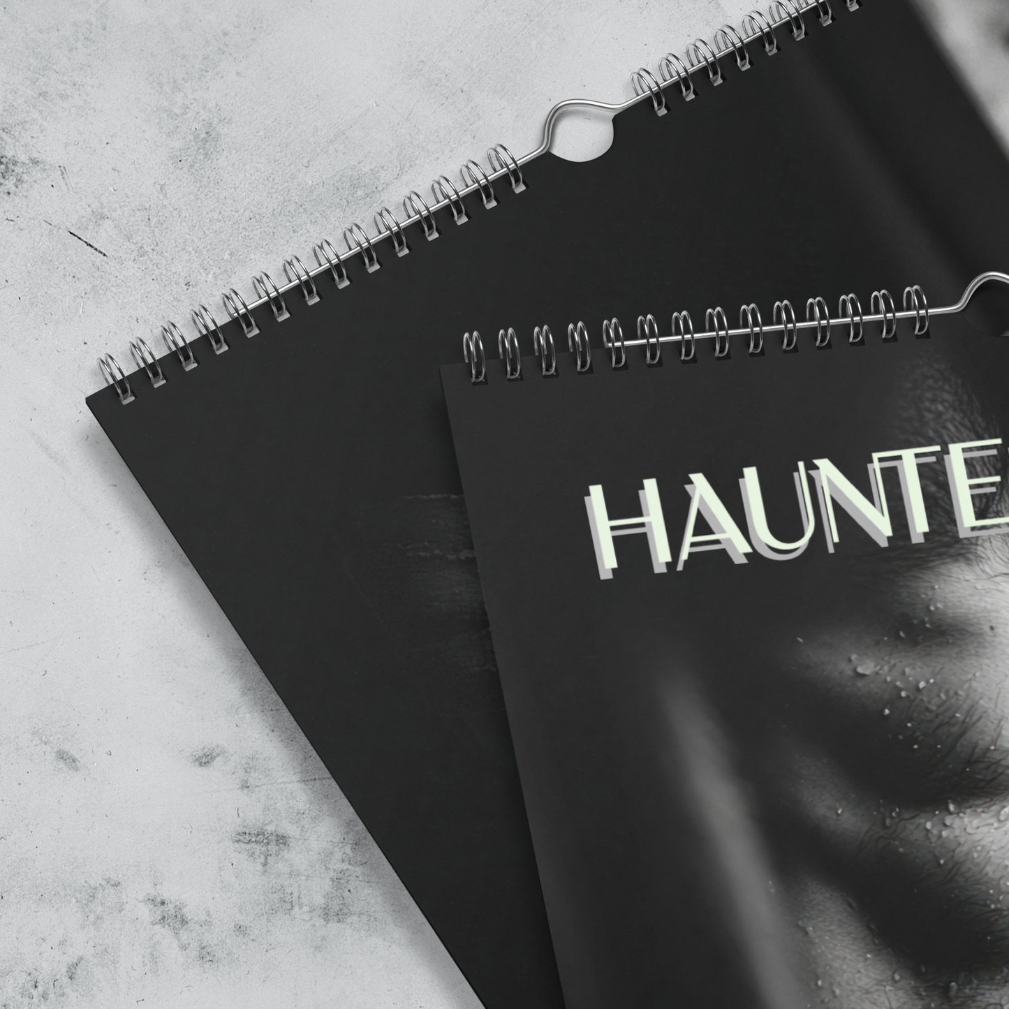 Haunted Desire - 2026 Wall calendar 11"X17"