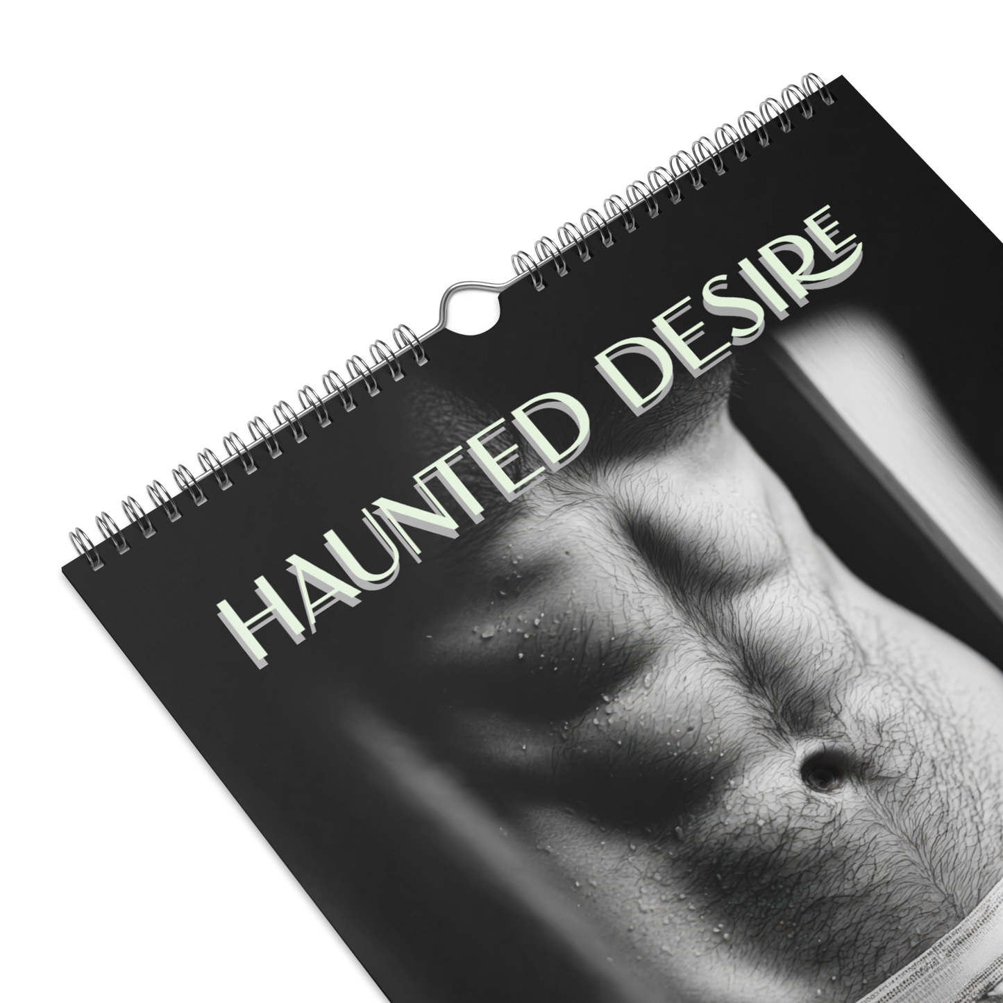 Haunted Desire - 2026 Wall calendar 11"X17"